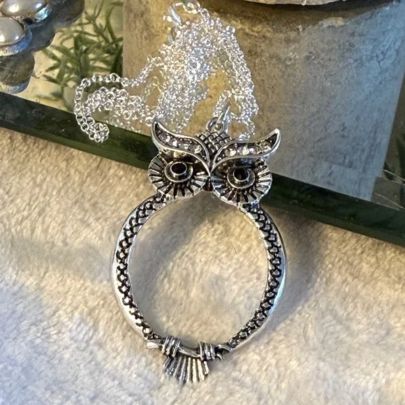 Silvertone Owl Pendant With magnifying glass with chain - Picture 1 of 7